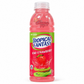 Tropical Fantasy Kiwi Strawberry Flavoured Drink 532ml