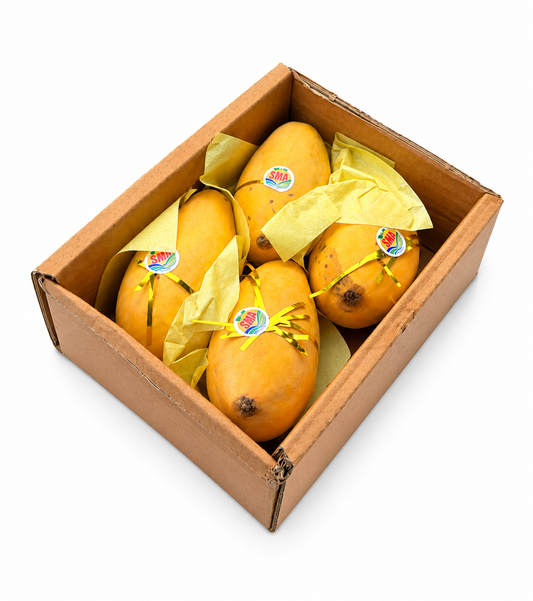 Best Quality Honey Mangoes Full Box of 4 | Pakistani Sindhri Mangoes